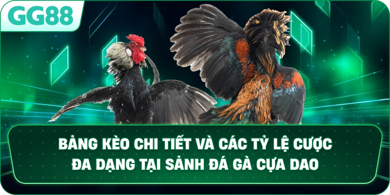 Bảng kèo chi tiết và các tỷ lệ cược đa dạng tại sảnh Đá Gà Cựa Dao.