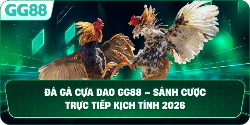 ĐÁ GÀ CỰA DAO – SẢNH CƯỢC TRỰC TIẾP KỊCH TÍNH VÀ ĐẲNG CẤP TẠI GG88