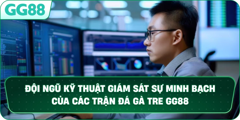 Đội ngũ kỹ thuật giám sát sự minh bạch của các trận Đá Gà Tre GG88.