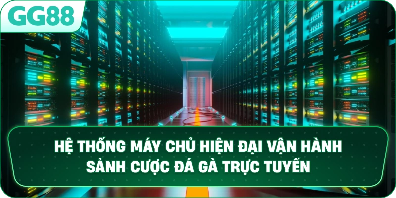Hệ thống máy chủ hiện đại vận hành sảnh cá cược đá gà trực tuyến tại GG88
